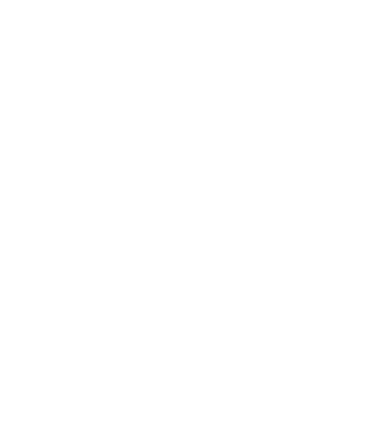 The Hair Suite Logo