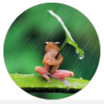 Diana Pickvance McCarty